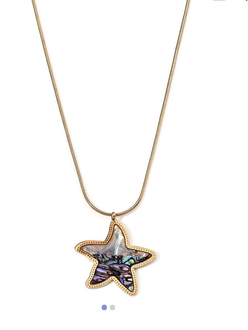 Abalone Shell Necklace in ION Plated YG Stainless Steel 16-18 Inches